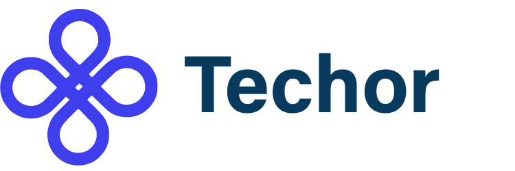 techor.sbs